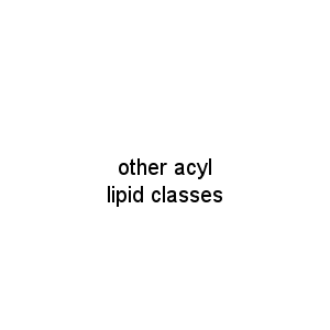 other acyl lipid classes